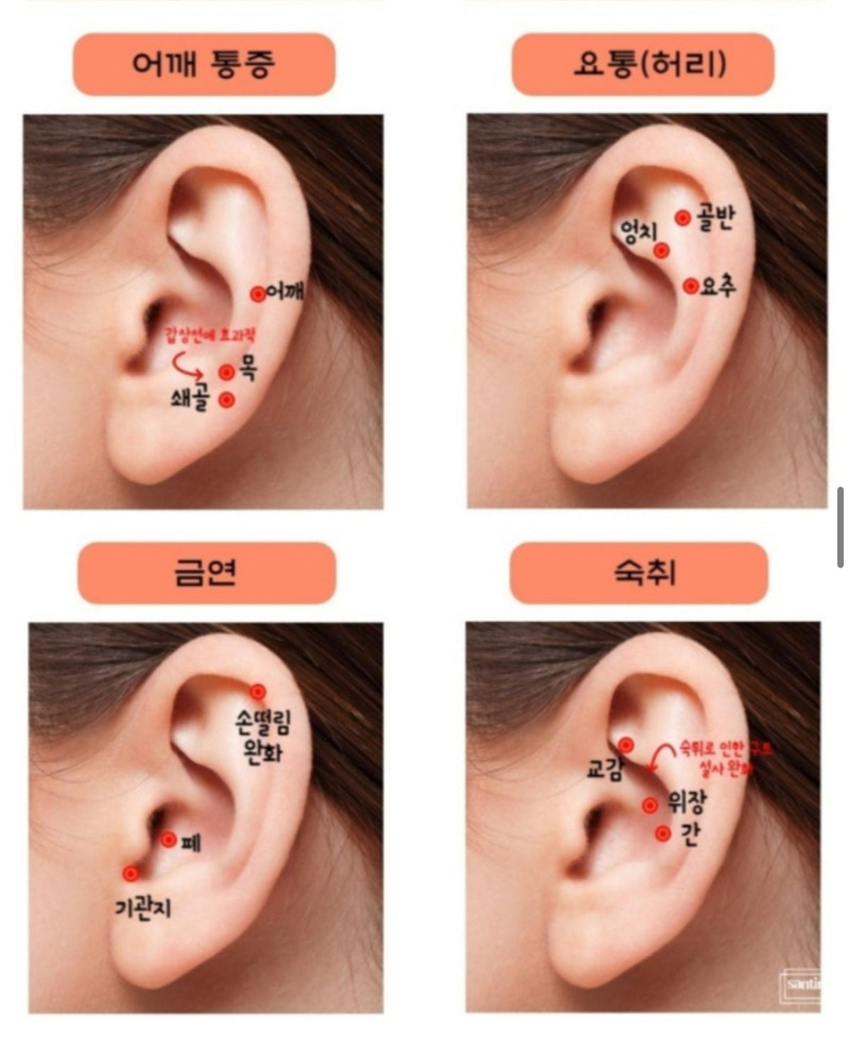 ZeNCY Premium Crystal Acupressure Jewerly_ EAR COCO