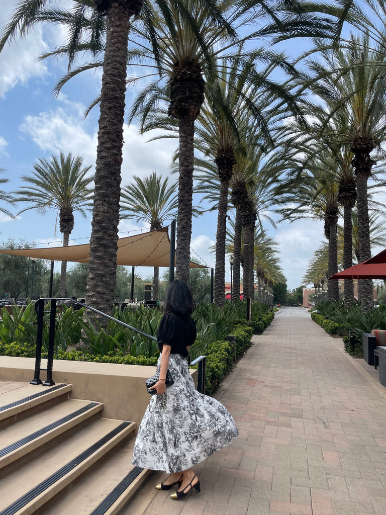 Paris Tolie de Jouy Skirt _ 2 Colors